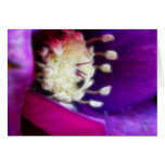 Abstract - Hellebore Bloom cards