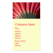 Abstract Macro Red and Pink Gerbera Flower Business Card