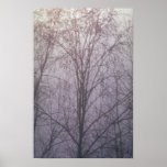 Abstract Mist-enshrouded forest Posters