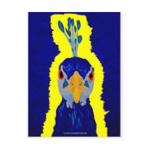 Abstract Peacock Head Post Cards
