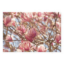 Abstract Photograph of a Pink Tulip Tree