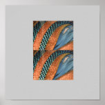 Abstract Poster