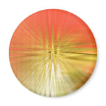 Abstract red tulip