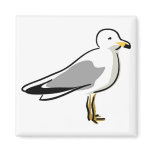 Abstract Seagull