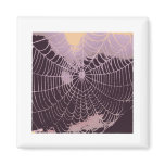 Abstract Spider  Web magnets