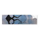 Abstract Tree Bumper Stickers