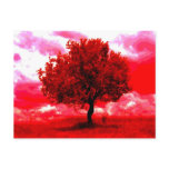 Abstract Tree Post Card
