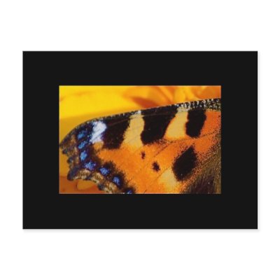Abstract Wings Postcard by pulsDesign