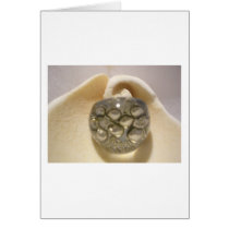 Abstract with Sea Shell Greeting Card