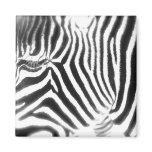 Abstract Zebra Magnet