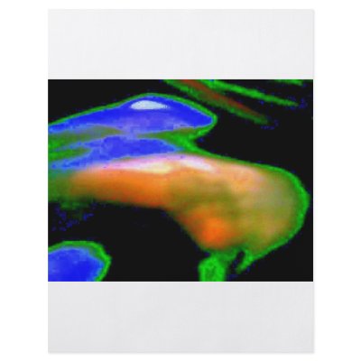 ABSTRACTS FULL COLOR FLYER by LOOSIELUCY