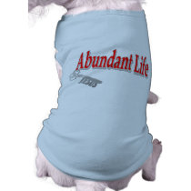 Abundant Life: The Key - v1 (John 10:10)