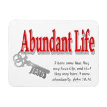 Abundant Life: The Key - v1 (John 10:10) Vinyl Magnets