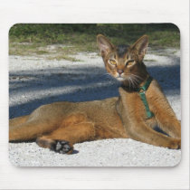 Aby Cat Mousepad