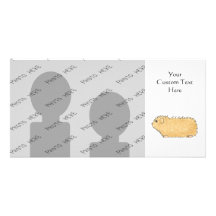 Abyssinian Guinea Pig. Picture Card