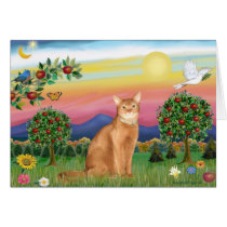 Abyssinian (red 18) - Bright Country