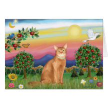 Abyssinian (red 18) - Bright Country Cards