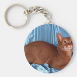 Abyssinian, sorrel keychains