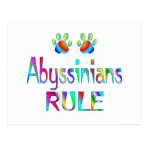 Abyssinians Rule Postcards