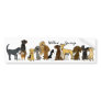 AC- Willow Springs Bumper Stickers