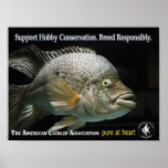 ACA - Pure at Heart posters