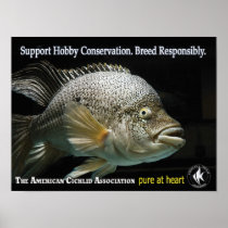 ACA - Pure at Heart Print