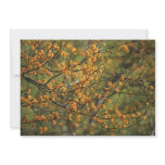 Acacia Flower Invitations