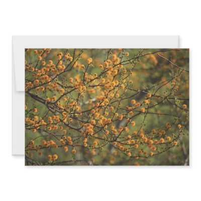 Acacia Flower Invitations by Jrtmedia