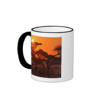 Acacia forest silhouetted at sunset, Tarangire Mugs