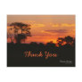 Acacia Sunset Thank You Postcard