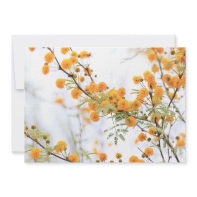 Acacia Tree Flower Invitations by Jrtmedia