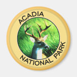 Acadia National Park Magnet