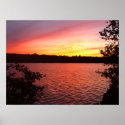 acadia national park sunset posters