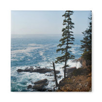 Acadia Shore Magnet - 1