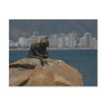 Acapulco skyline 1 post cards