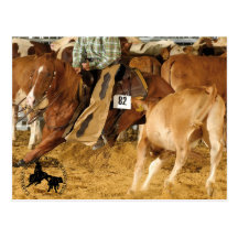 Accessoires Cabernet CHA Carte Postale 2 Postcards