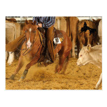 Accessoires Cabernet CHA Carte Postale 4 Postcard