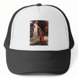 Accolade - Red Persian cat Trucker Hats