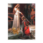 Accolade - Red Persian cat Post Cards