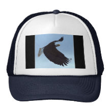 ACCOMPLISHMENT Series Hats