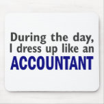 ACCOUNTANT During The Day