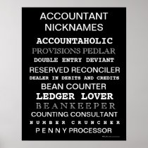 Accountant Nicknames Motivational Poster posters