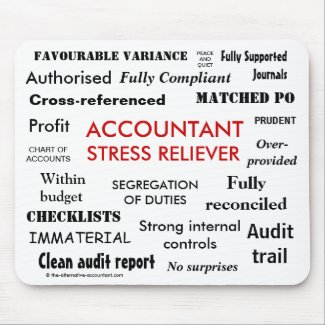 Accountant Stress Reliever gift