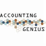 Accounting Genius Photo Sculpture