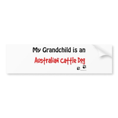 ACD Grandchild Bumper Sticker by dogwiregifts