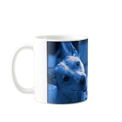 ACD Photo Mug by bcpix_com