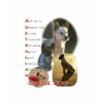 ACD Tshirt logo in white