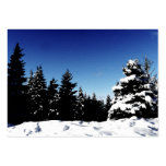 ACEO Vivid Blue Sky on Wintery Day Landscape business cards