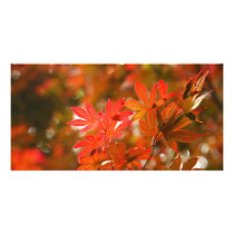 Acer leaves personalized photo card