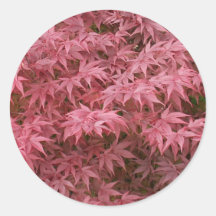 acer palmatum leaves round stickers